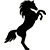 customer image
